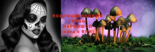 первитин Переславль-Залесский