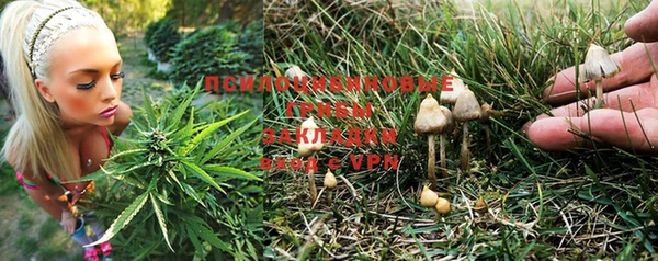 твердый Алексеевка