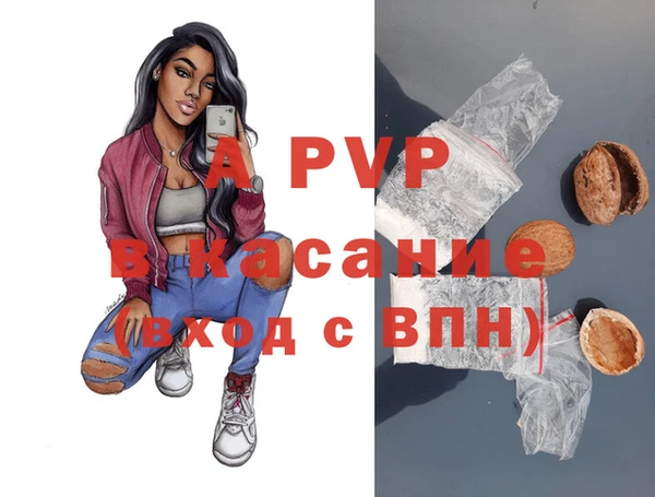 дурь Пестово