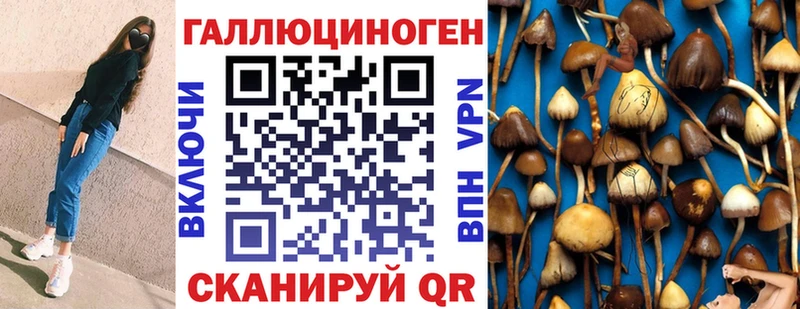 дарнет шоп  Николаевск-на-Амуре  Галлюциногенные грибы Psilocybe 
